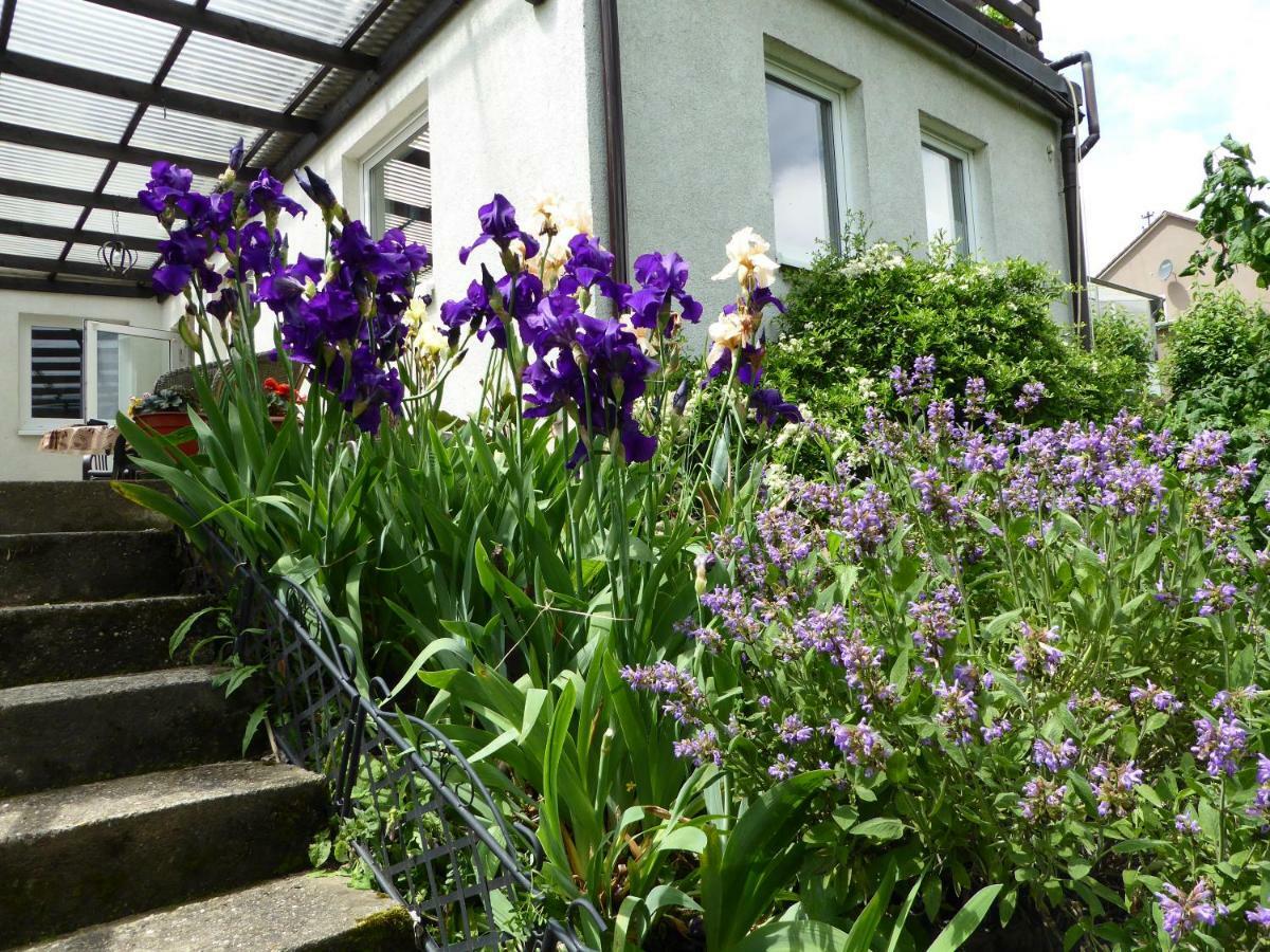 Fewo Batek Apartment Trechtingshausen Exterior photo